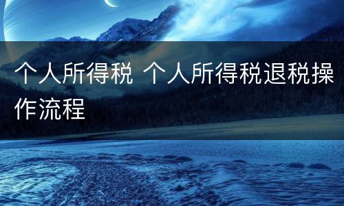 个人所得税 个人所得税退税操作流程