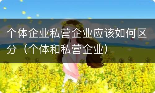 个体企业私营企业应该如何区分（个体和私营企业）