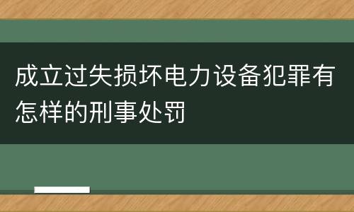 成立过失损坏电力设备犯罪有怎样的刑事处罚