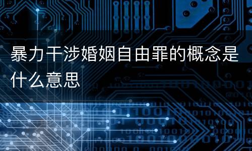 暴力干涉婚姻自由罪的概念是什么意思