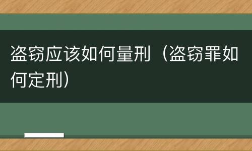 盗窃应该如何量刑（盗窃罪如何定刑）