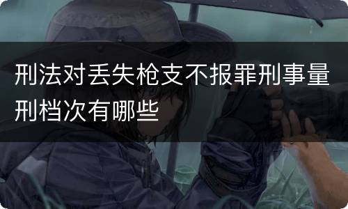 刑法对丢失枪支不报罪刑事量刑档次有哪些