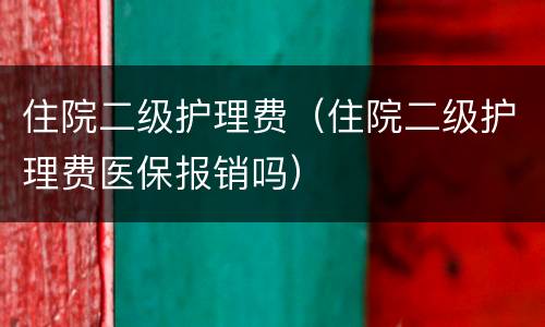 住院二级护理费（住院二级护理费医保报销吗）