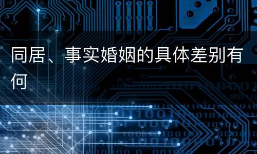 同居、事实婚姻的具体差别有何