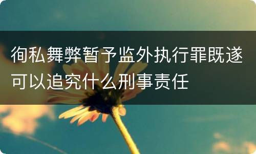徇私舞弊暂予监外执行罪既遂可以追究什么刑事责任