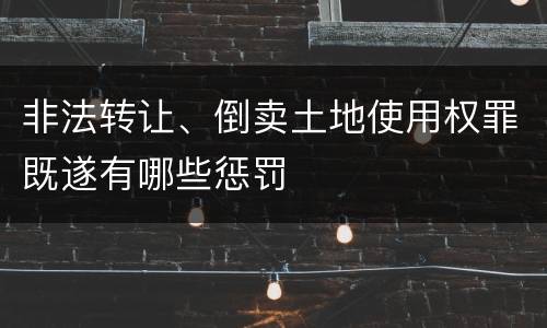 非法转让、倒卖土地使用权罪既遂有哪些惩罚