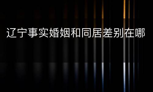 辽宁事实婚姻和同居差别在哪