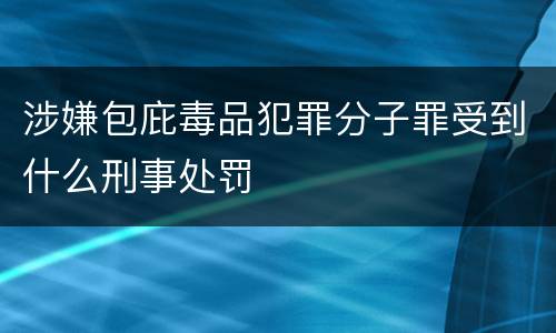 涉嫌包庇毒品犯罪分子罪受到什么刑事处罚