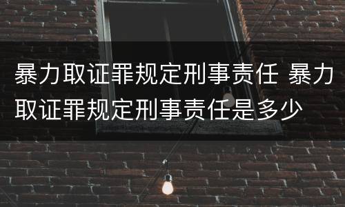 暴力取证罪规定刑事责任 暴力取证罪规定刑事责任是多少