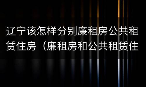 辽宁该怎样分别廉租房公共租赁住房（廉租房和公共租赁住房）