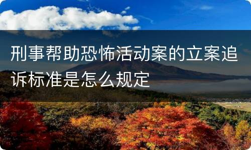 刑事帮助恐怖活动案的立案追诉标准是怎么规定