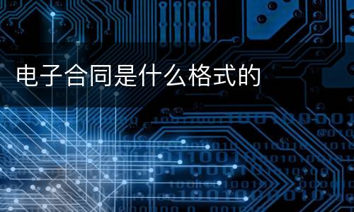 电子合同是什么格式的