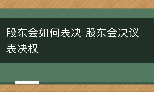 股东会如何表决 股东会决议 表决权