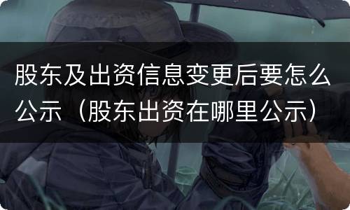 股东及出资信息变更后要怎么公示（股东出资在哪里公示）