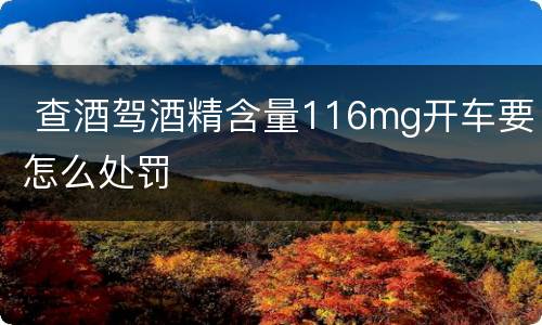  查酒驾酒精含量116mg开车要怎么处罚
