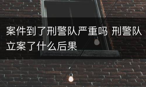 案件到了刑警队严重吗 刑警队立案了什么后果