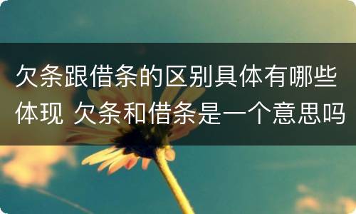 欠条跟借条的区别具体有哪些体现 欠条和借条是一个意思吗