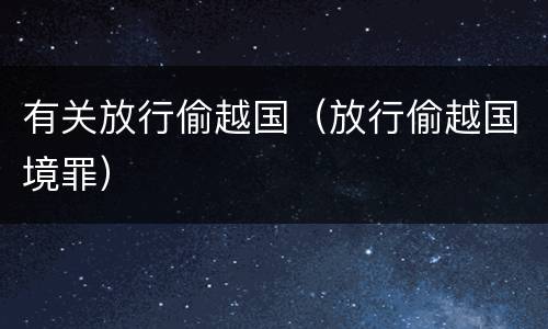 有关放行偷越国（放行偷越国境罪）