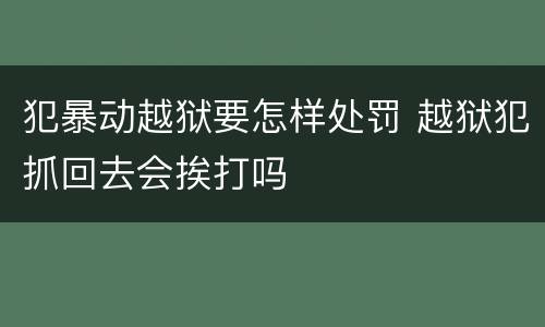 犯暴动越狱要怎样处罚 越狱犯抓回去会挨打吗