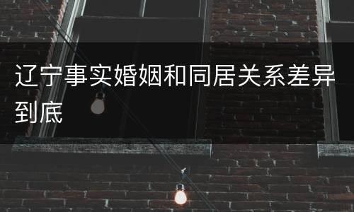 辽宁事实婚姻和同居关系差异到底