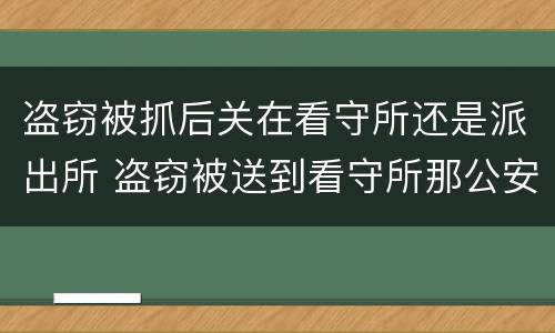 盗窃被抓后关在看守所还是派出所 盗窃被送到看守所那公安局立案了吗