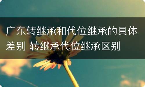 广东转继承和代位继承的具体差别 转继承代位继承区别