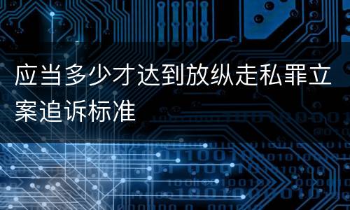 应当多少才达到放纵走私罪立案追诉标准