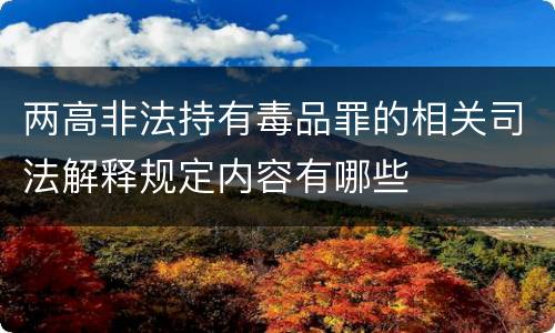 两高非法持有毒品罪的相关司法解释规定内容有哪些