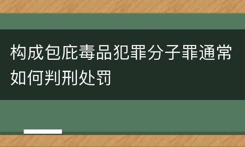 构成包庇毒品犯罪分子罪通常如何判刑处罚