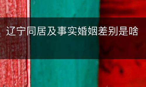 辽宁同居及事实婚姻差别是啥