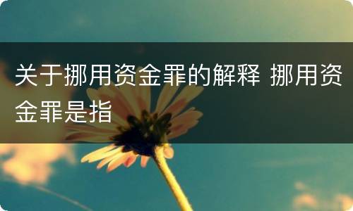 关于挪用资金罪的解释 挪用资金罪是指