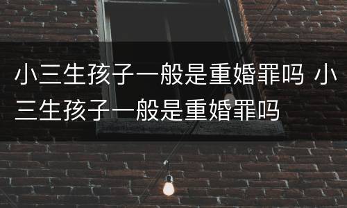小三生孩子一般是重婚罪吗 小三生孩子一般是重婚罪吗