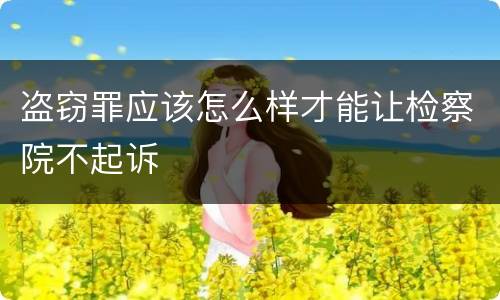 盗窃罪应该怎么样才能让检察院不起诉