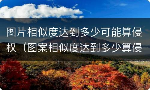 图片相似度达到多少可能算侵权（图案相似度达到多少算侵权）