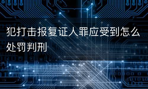 犯打击报复证人罪应受到怎么处罚判刑