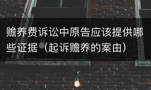 赡养费诉讼中原告应该提供哪些证据(起诉赡养的案由)