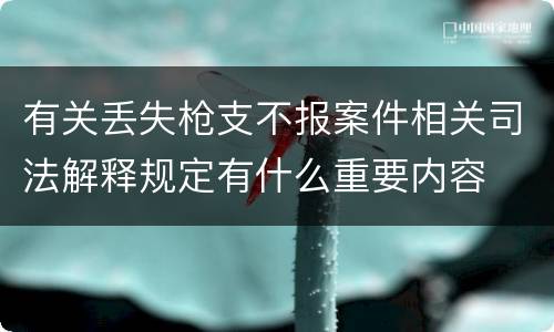 有关丢失枪支不报案件相关司法解释规定有什么重要内容