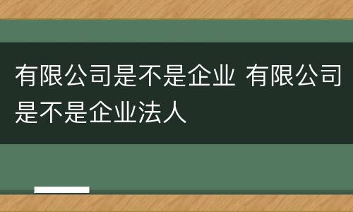 有限公司是不是企业 有限公司是不是企业法人