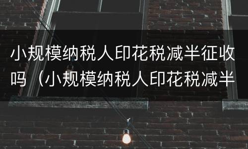 小规模纳税人印花税减半征收吗（小规模纳税人印花税减半征收吗怎么申报）