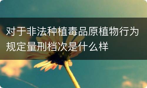 对于非法种植毒品原植物行为规定量刑档次是什么样
