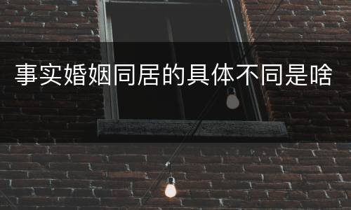 事实婚姻同居的具体不同是啥