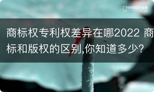 商标权专利权差异在哪2022 商标和版权的区别,你知道多少?
