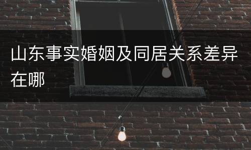山东事实婚姻及同居关系差异在哪