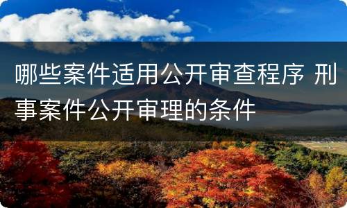 哪些案件适用公开审查程序 刑事案件公开审理的条件
