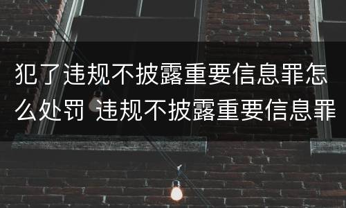犯了违规不披露重要信息罪怎么处罚 违规不披露重要信息罪案例