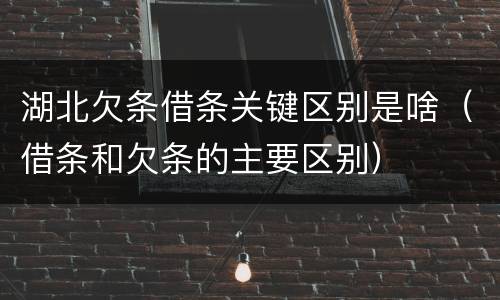 湖北欠条借条关键区别是啥（借条和欠条的主要区别）