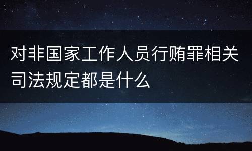 对非国家工作人员行贿罪相关司法规定都是什么