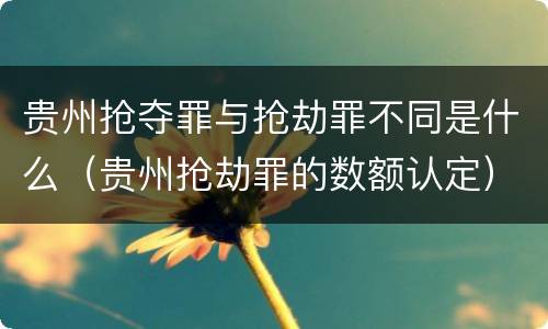 贵州抢夺罪与抢劫罪不同是什么（贵州抢劫罪的数额认定）