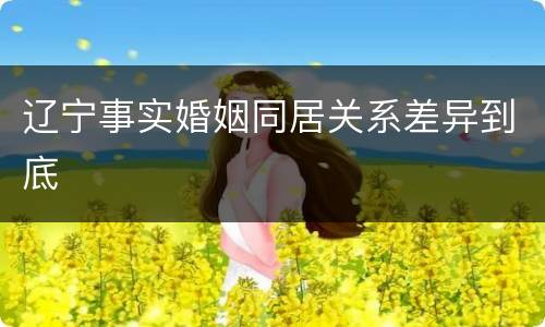 辽宁事实婚姻同居关系差异到底