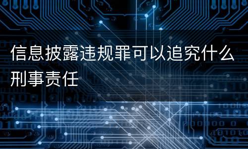 信息披露违规罪可以追究什么刑事责任